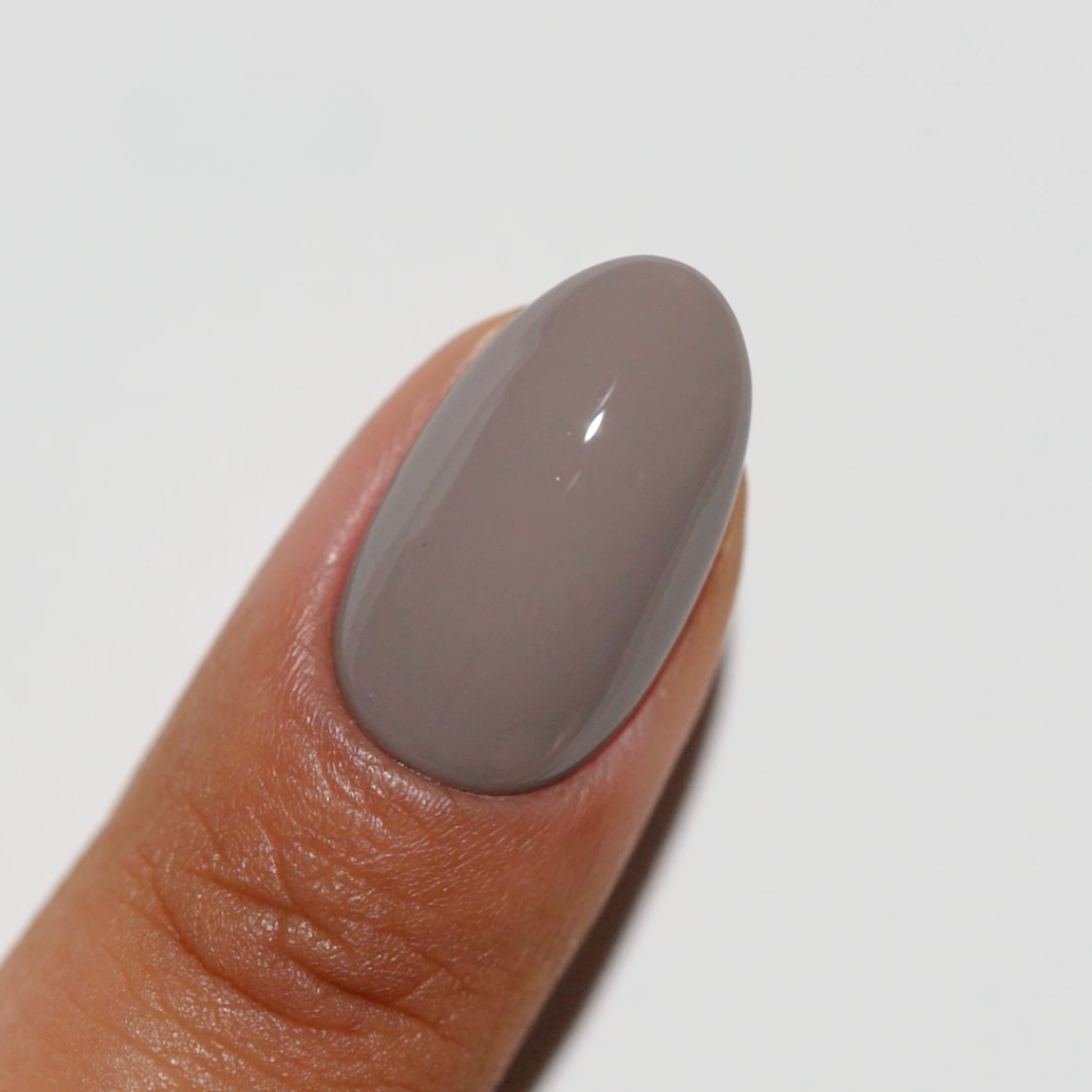 Driftwood DIVA #265 - Image 2