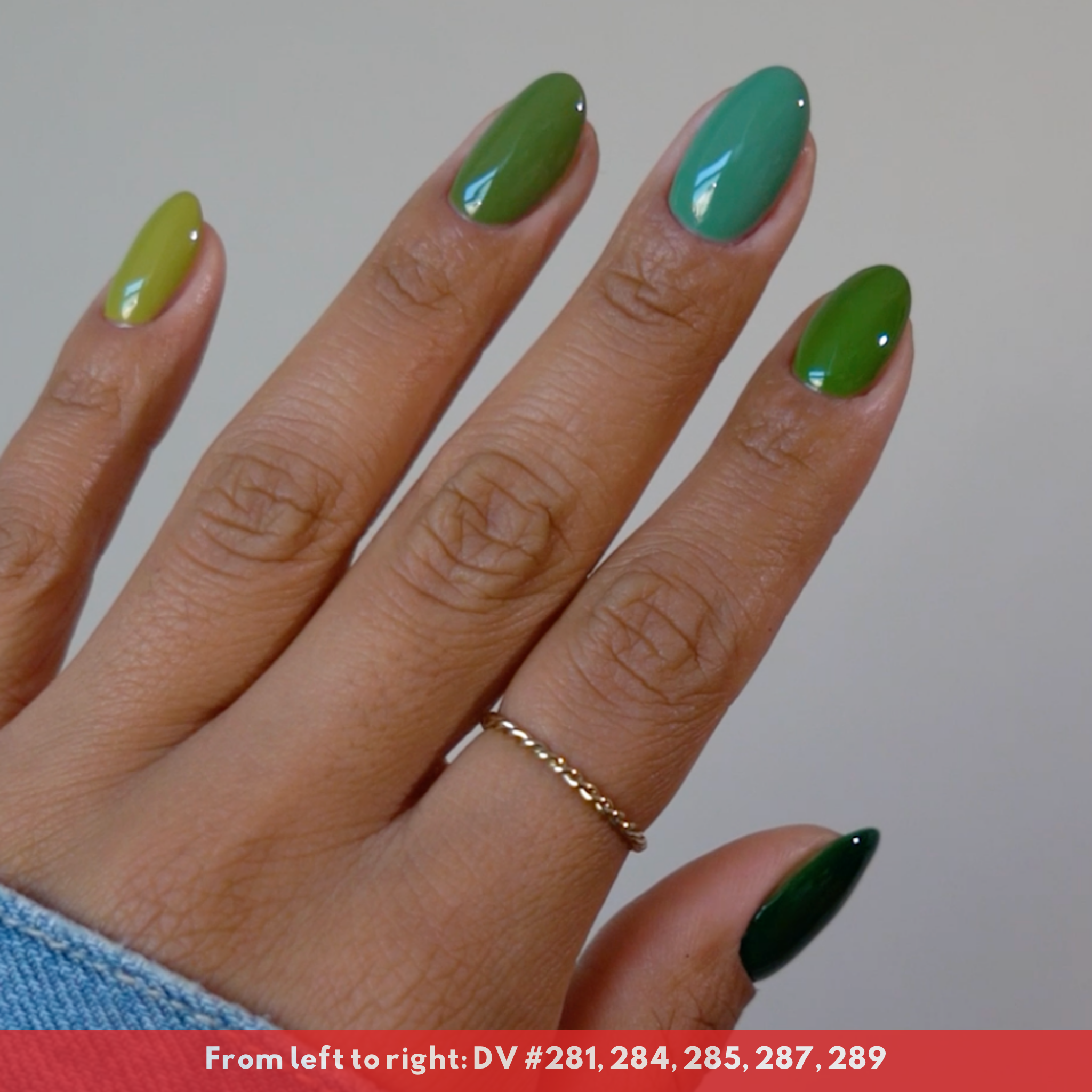 Houseplant DIVA #287 - Image 3