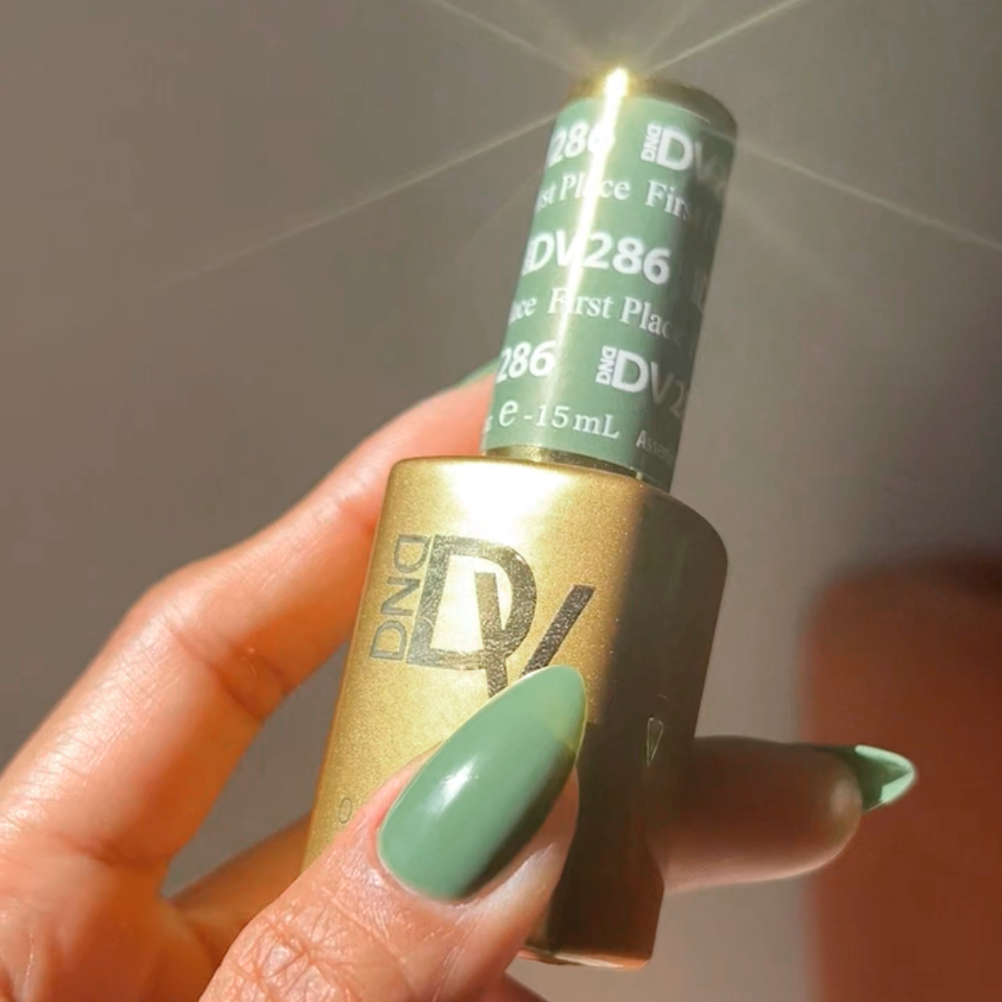 First Place DIVA #286 - Image 3