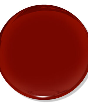 DND TPO Free - U.T. Burnt Orange - 278