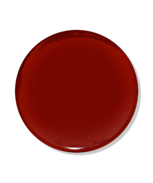 DND TPO Free - U.T. Burnt Orange - 278